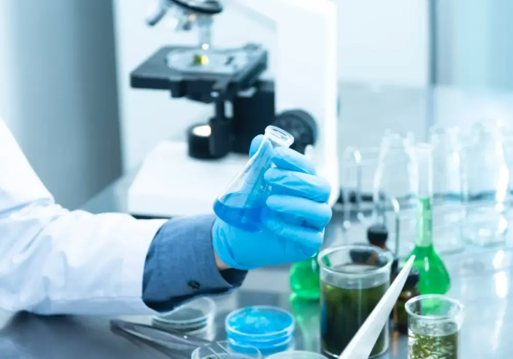 Jak założyć laboratorium mikrobiologiczne: kluczowe wymagania i porady