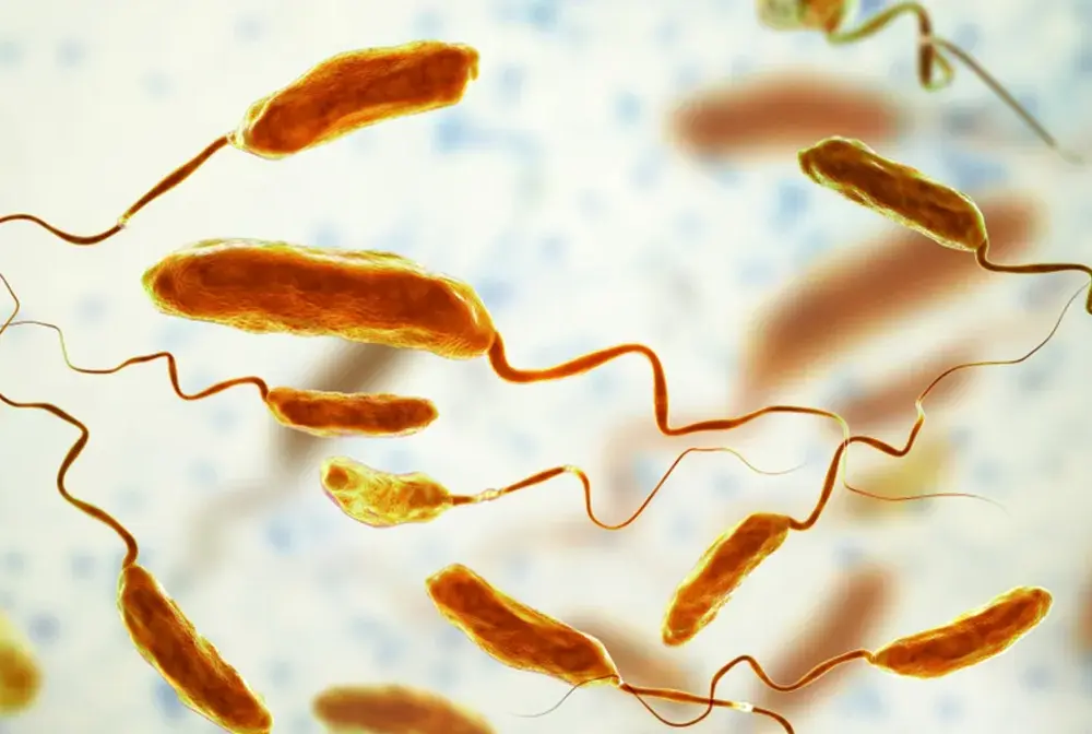 Cholera - objawy i leczenie. Jak uniknąć śmiertelnego odwodnienia?