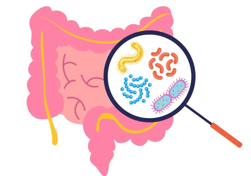 Clostridium difficile - Kiedy biegunka po antybiotyku zabija?