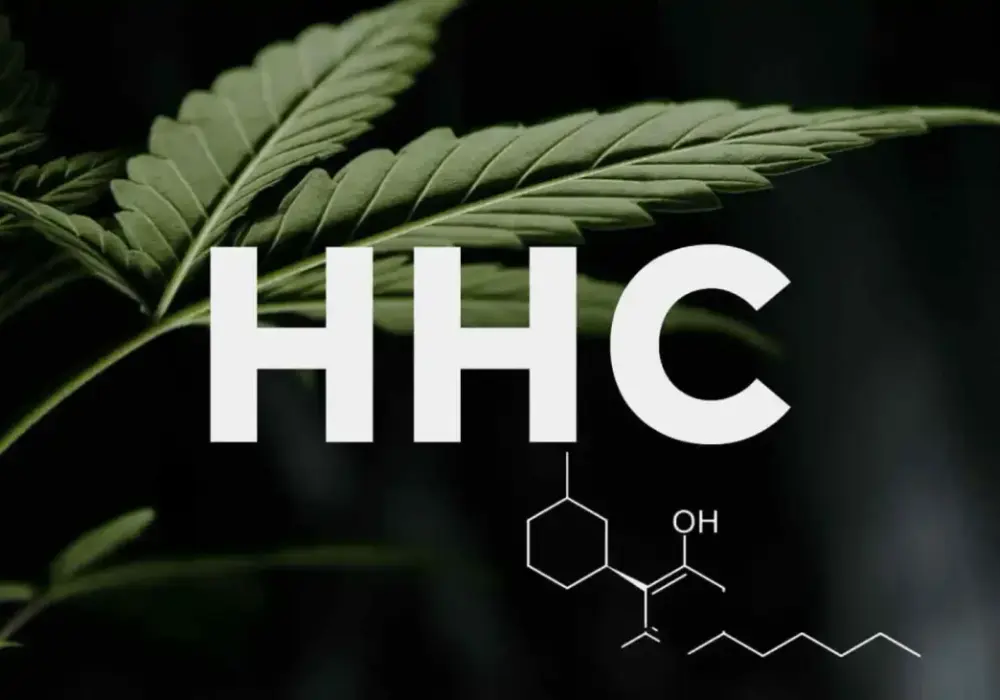 HHC - Co to jest? Ryzyko, prawo, bezpieczeństwo. Sprawdź!