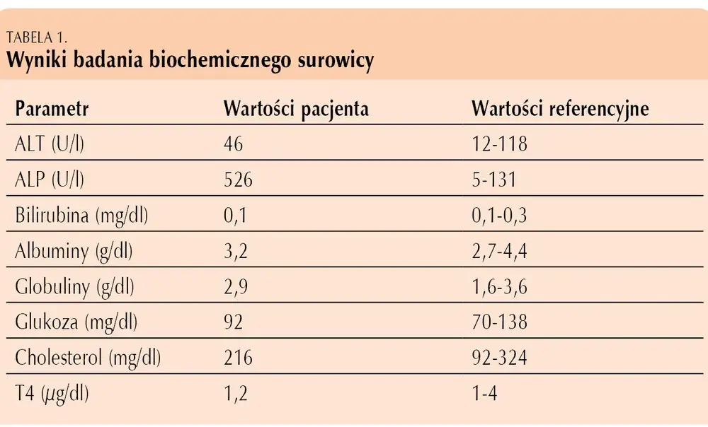 Kiedy wyniki badania krwi u psa? Zrozumienie wyników i ich znaczenie