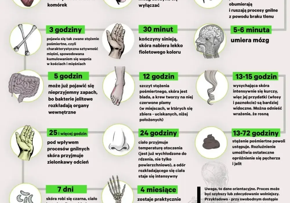 Badanie pośmiertne - co musisz wiedzieć o sekcji zwłok?