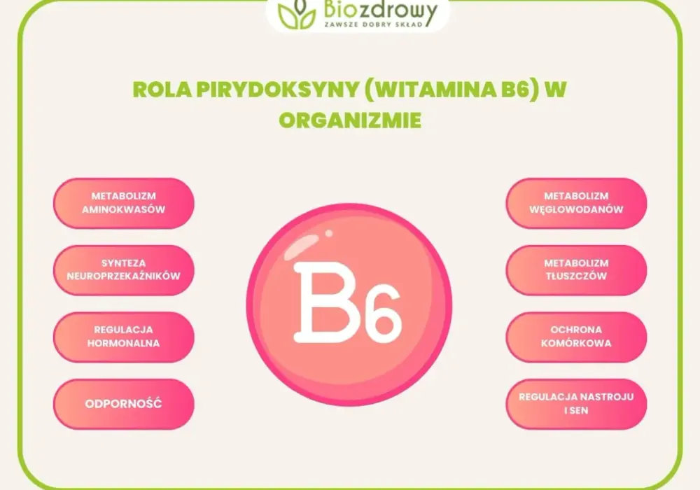 Witamina B6 - Ile naprawdę potrzebujesz i jak nie przesadzić?