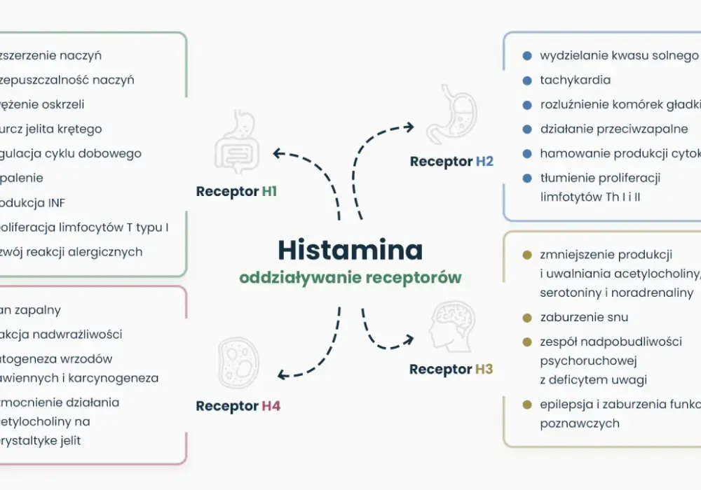 Nietolerancja histaminy - objawy, diagnostyka. Czy to alergia?