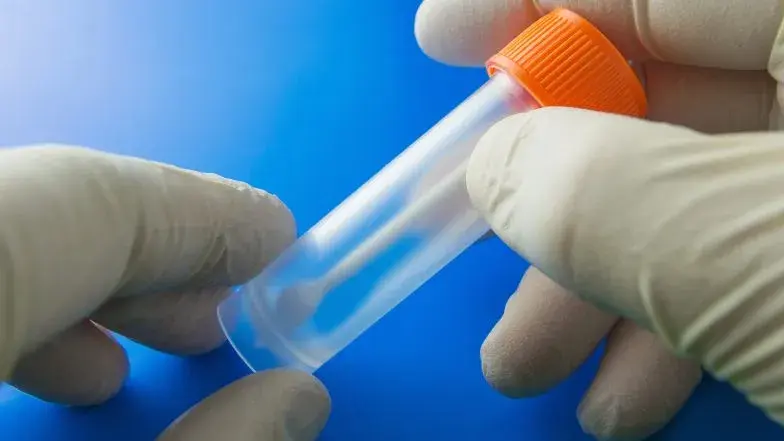 Jak prawidłowo pobrać kał na Helicobacter pylori - uniknij błędów