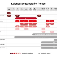 Szczepionki na NFZ czy skojarzone: co wybrać, by uniknąć kosztów?