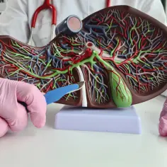 Jakie badania krwi przy kamicy żółciowej? Kluczowe informacje i znaczenie