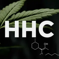 Liść konopi i wzór chemiczny obok napisu HHC. Dowiedz się, hhc co to jest i jakie ma właściwości.