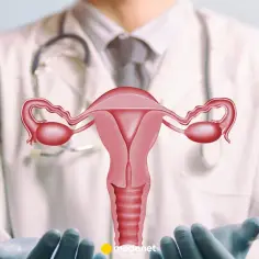 Lekarz w białym fartuchu prezentuje model narządów rodnych kobiety. Dowiedz się, co to cytologia i dlaczego jest ważna.
