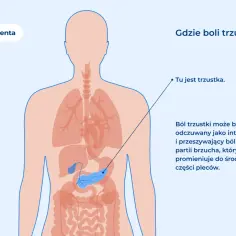 Ilustracja pokazuje lokalizację trzustki i opisuje ból z nią związany. Pytanie "czy rak trzustki jest wyleczalny" jest kluczowe dla pacjentów.
