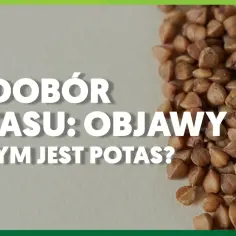 Niedobór potasu: objawy. W czym jest potas? Ziarna gryki na tle.
