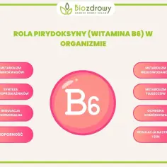 Grafika przedstawia rolę witaminy B6 w organizmie: metabolizm aminokwasów, węglowodanów, tłuszczów, syntezę neuroprzekaźników, regulację hormonalną, ochronę komórkową, odporność, nastrój i sen. Bezpieczna dawka witamina b6 jest kluczowa.