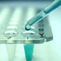 Kropla błękitnego płynu z pipety spada do probówki. To etap badań nad leczeniem biologicznym.