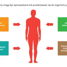 Trucizna może dostać się do organizmu przez układ pokarmowy, oddechowy, skórę i błony śluzowe, a także przez wstrzyknięcia.