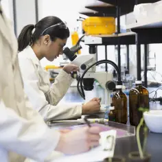 Ile zarabia pracownik laboratorium? Zaskakujące różnice w wynagrodzeniach