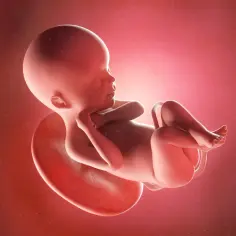 Płód w łonie matki, rozwijający się z potencjalną wadą letalną.