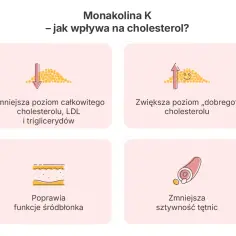 Monakolina K: obniża zły cholesterol, podnosi dobry, poprawia śródbłonek i zmniejsza sztywność tętnic.