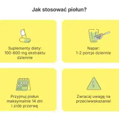 Grafika pokazuje jak stosować piołun: suplementy, napar, czas kuracji (max 14 dni) i przeciwwskazania.