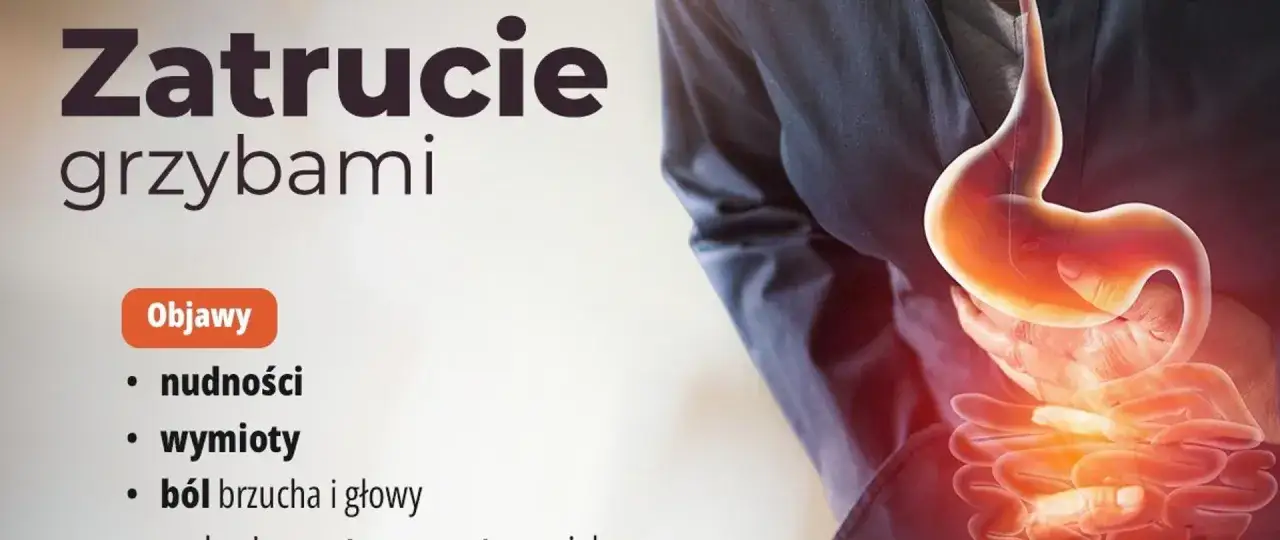 Zatrucie grzybami objawy: nudności, wymioty, ból brzucha i głowy. Grafika przedstawia żołądek i jelita.
