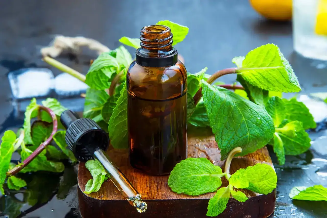 Butelka z olejkiem miętowym i świeże liście mięty. Idealne na orzeźwienie i do aromaterapii.