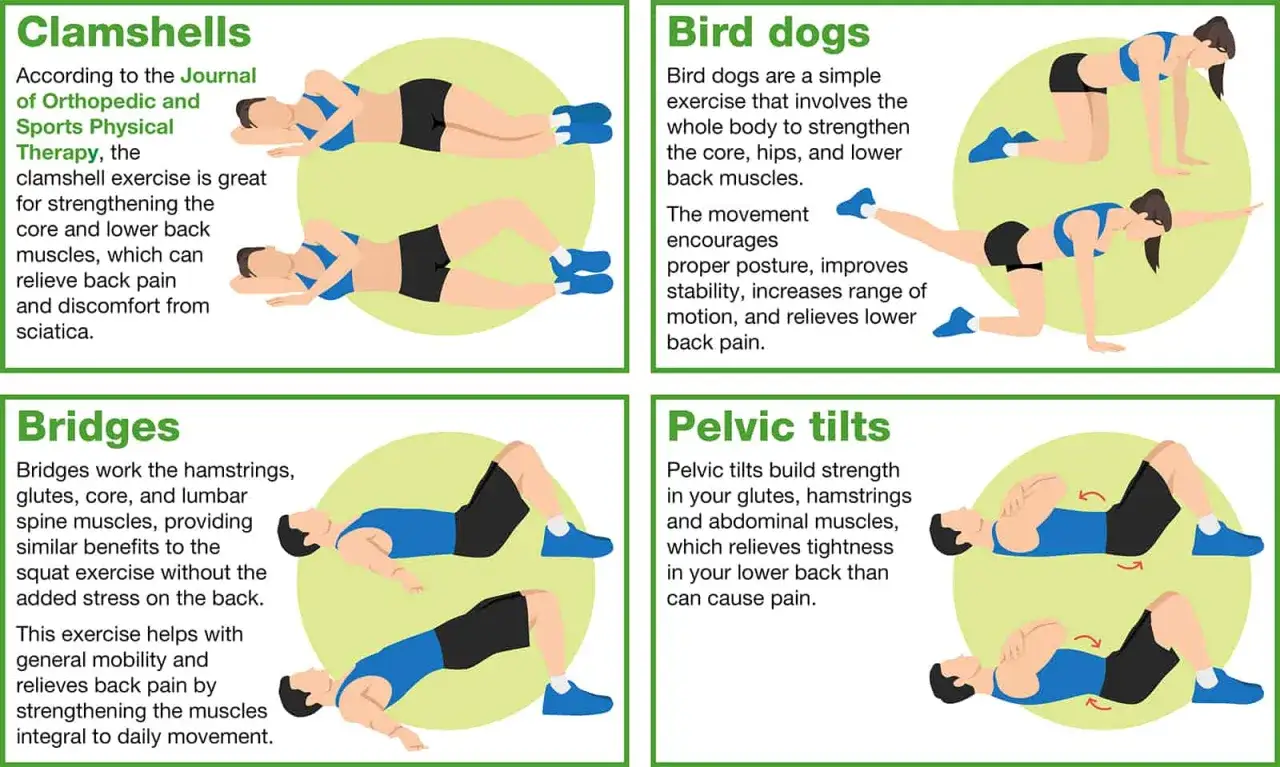 Ćwiczenia na bóle kręgosłupa: clamshells, bird dogs, mostki i pelvic tilts. Pomagają wzmocnić mięśnie i zmniejszyć dyskomfort.
