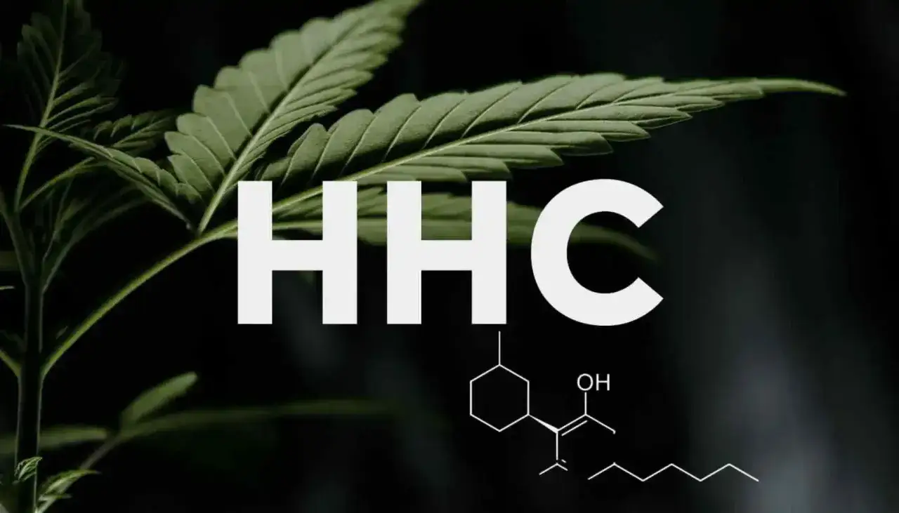 HHC co to? Liść konopi i wzór chemiczny HHC.