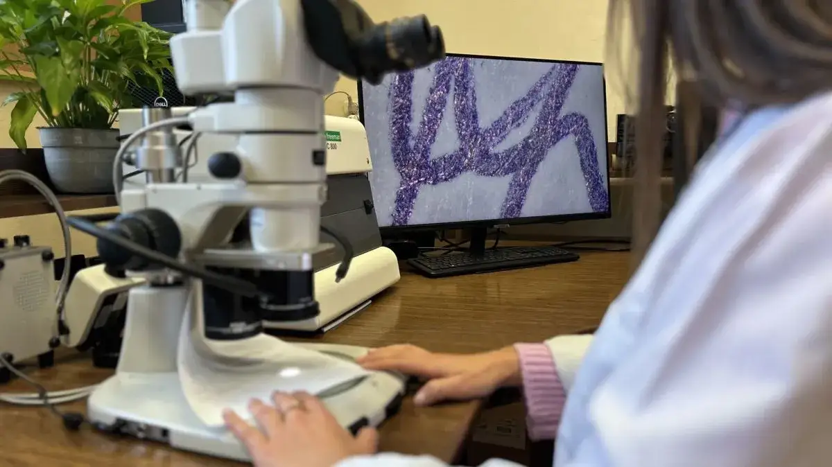 Zdjęcie Jak się dostać do laboratorium kryminalistycznego? Kluczowe informacje