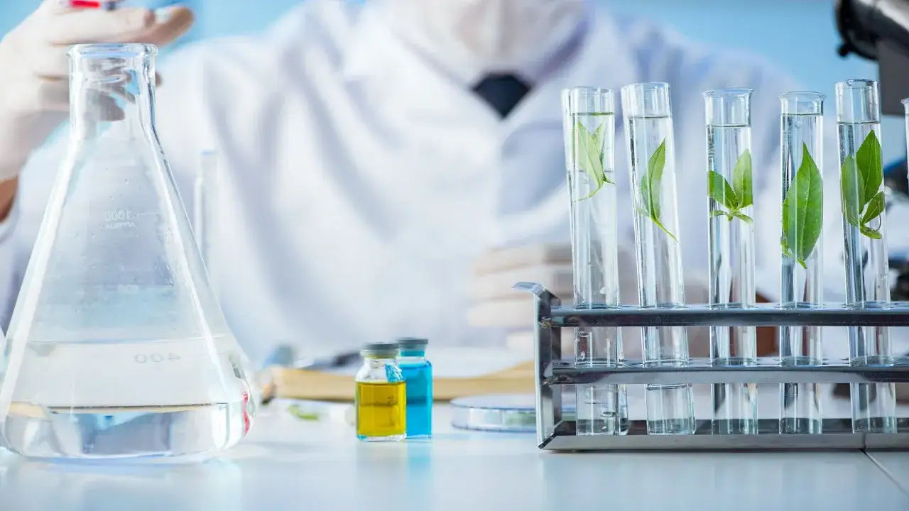 Zdjęcie Jakie studia wybrać, aby pracować w laboratorium kosmetycznym?