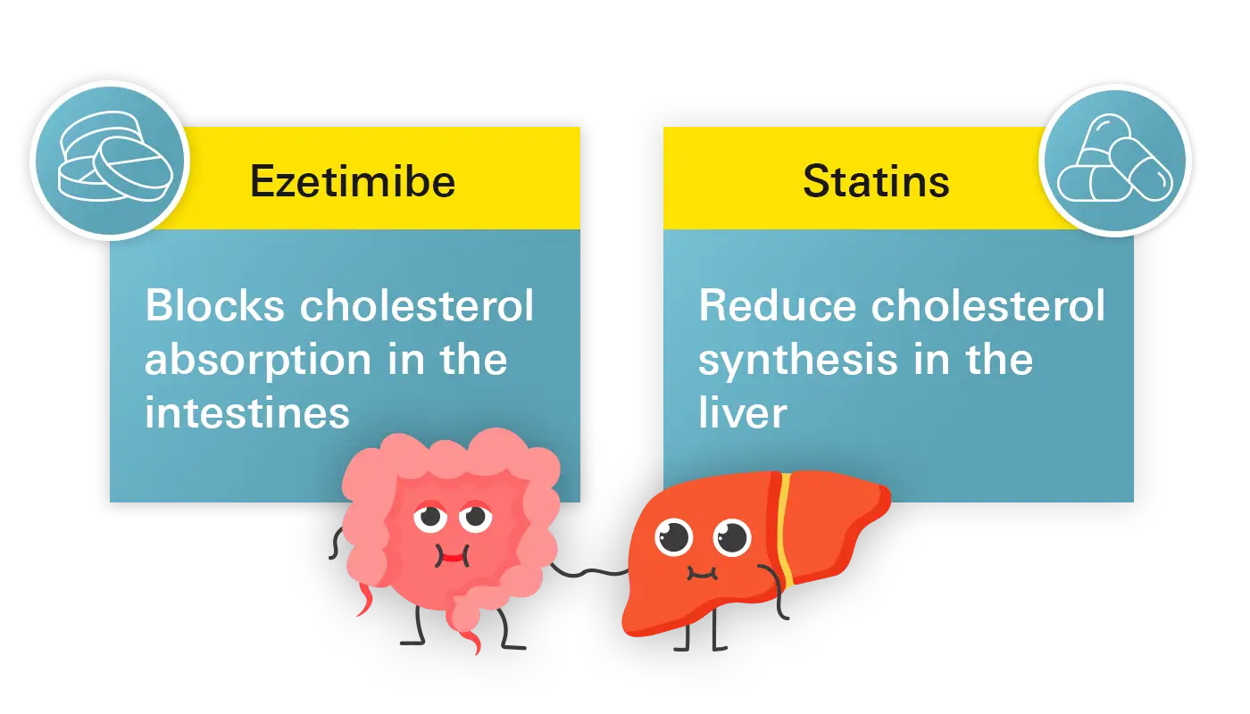 Kwas bempediowy i statyny to leki obniżające cholesterol. Ezetymib blokuje wchłanianie, a statyny redukują syntezę.