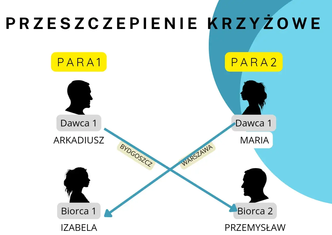 Schemat ilustruje transplantologię krzyżową: Arkadiusz z Bydgoszczy oddaje nerkę Izabeli, a Maria z Warszawy – Przemysławowi.