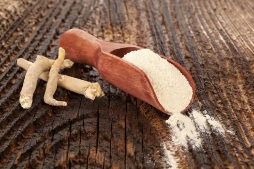 Ashwagandha - czy jest szkodliwa? Poznaj prawdę!