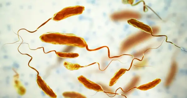 Cholera - objawy i leczenie. Jak uniknąć śmiertelnego odwodnienia?