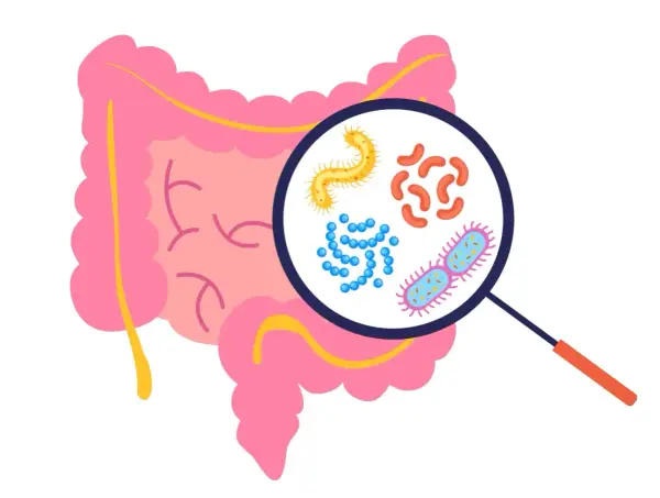 Clostridium difficile - Kiedy biegunka po antybiotyku zabija?