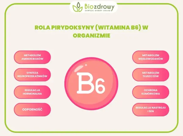 Witamina B6 - Ile naprawdę potrzebujesz i jak nie przesadzić?