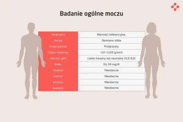 Badanie ogólne moczu - co wykrywa i jak pobrać próbkę?