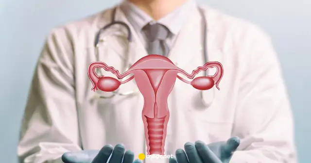 Lekarz w białym fartuchu prezentuje model narządów rodnych kobiety. Dowiedz się, co to cytologia i dlaczego jest ważna.