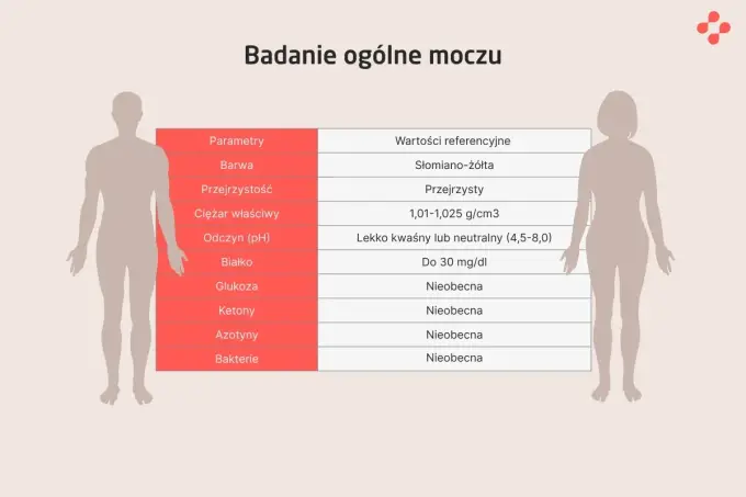 Badanie ogólne moczu - co wykrywa i jak pobrać próbkę?